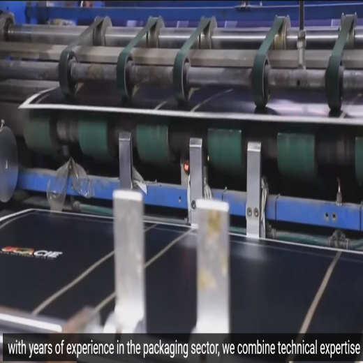 High-Speed Packaging Factory